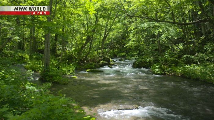 Towada-Hachimantai
