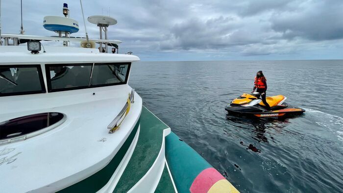 Alerte sous-marine