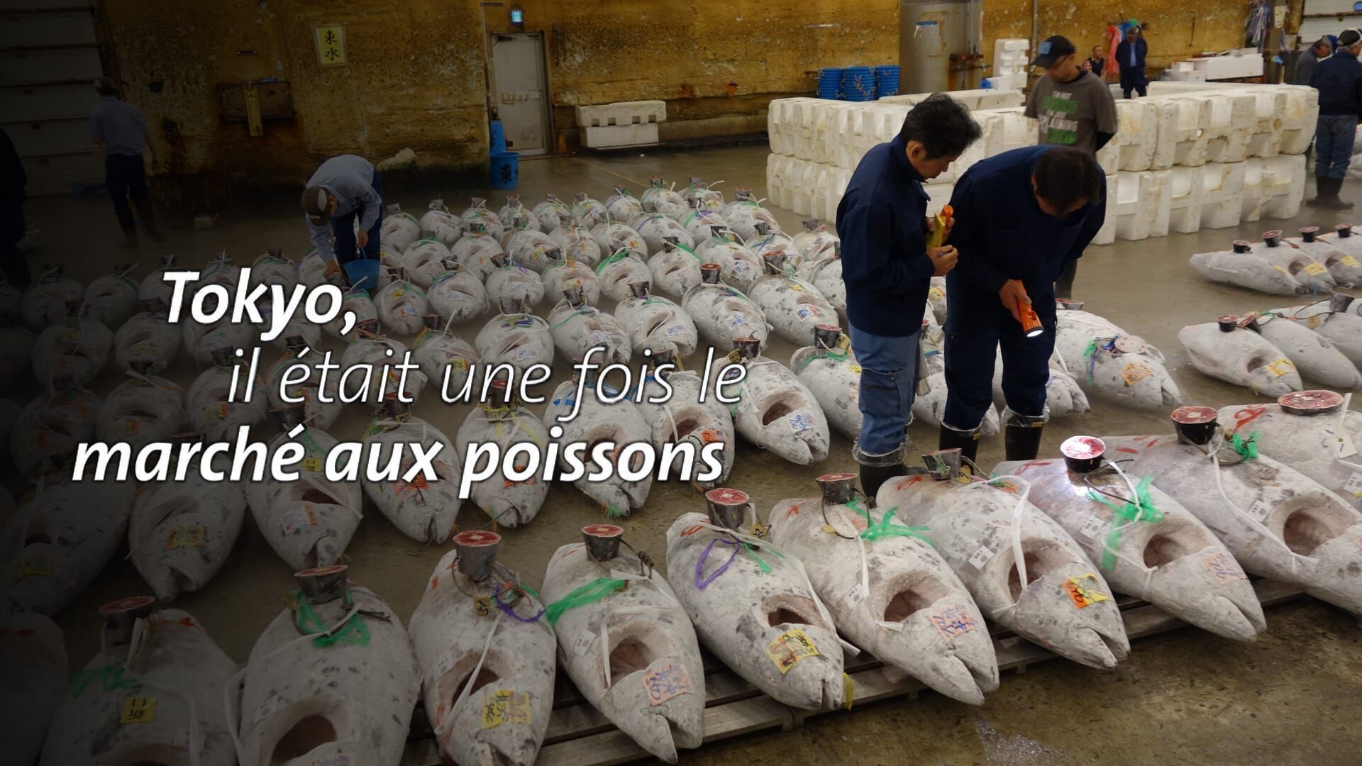 Tokyo, il était une fois le marché aux poissons