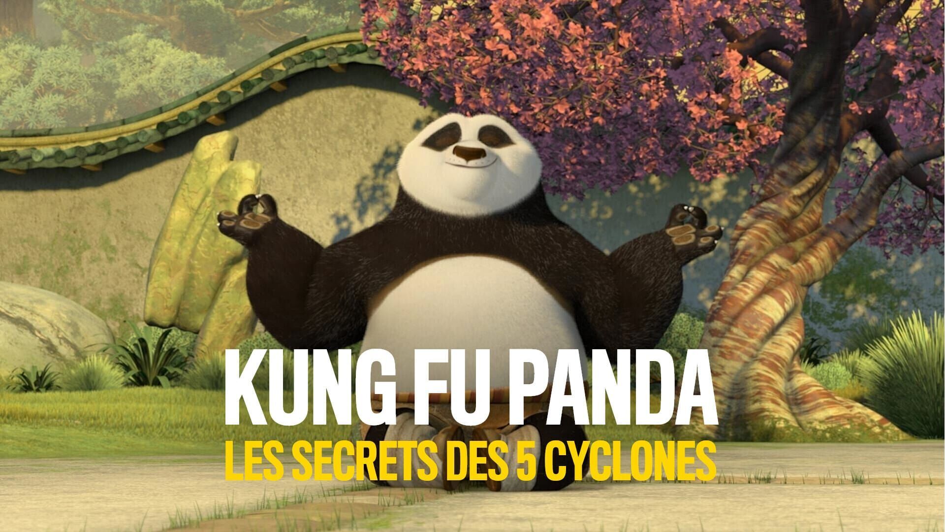 Kung Fu Panda : Les secrets des cinq cyclones