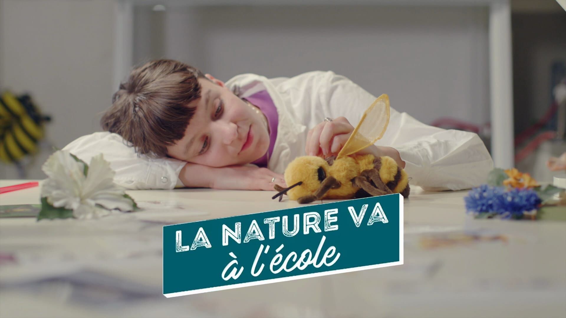 Les haies