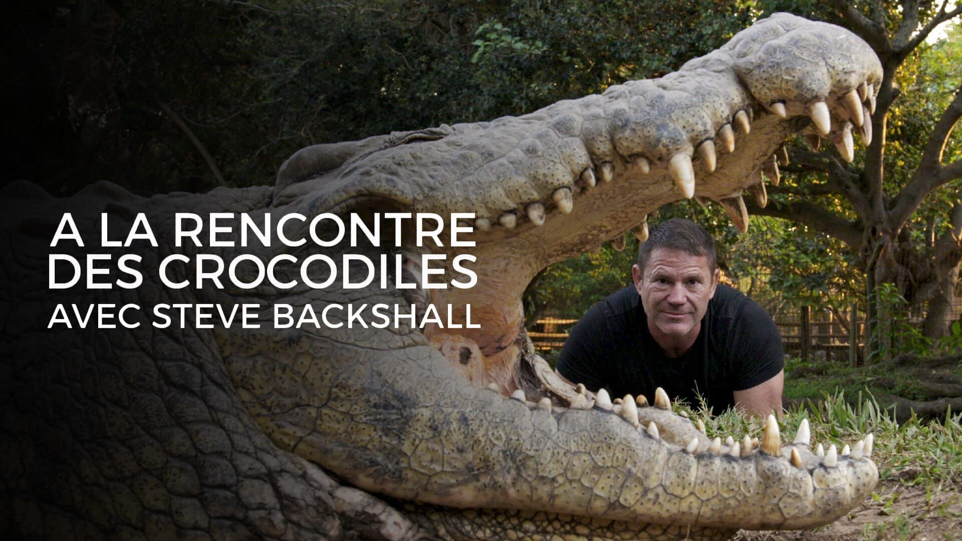 A la rencontre des crocodiles avec Steve Backshall