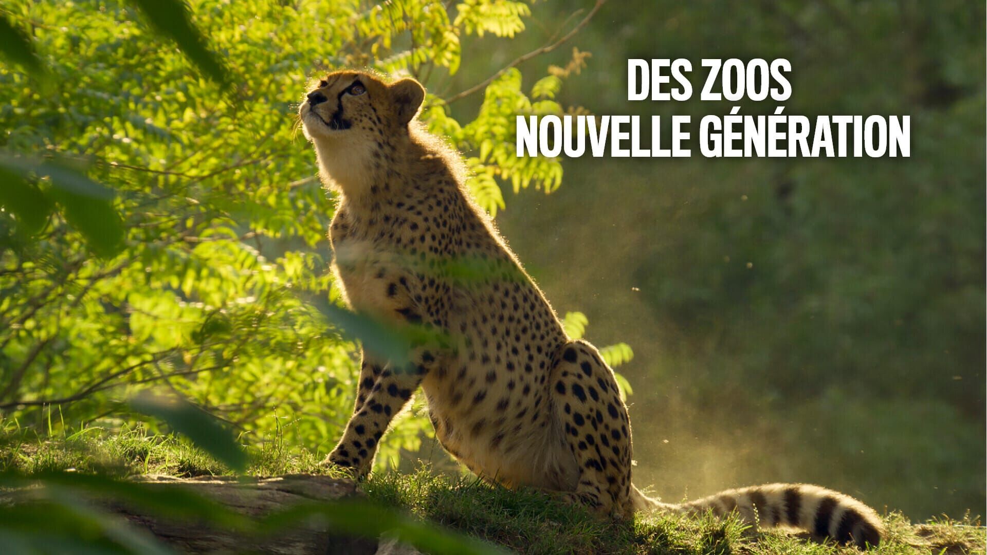 Vivre en semi-liberté