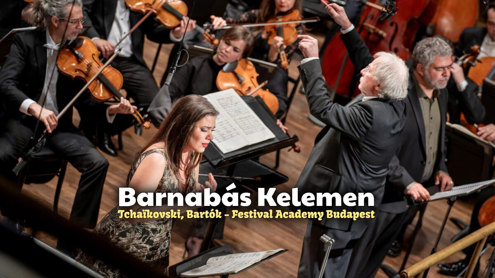 Barnabás Kelemen : Tchaïkovski, Bartók - Festival Academy Budapest