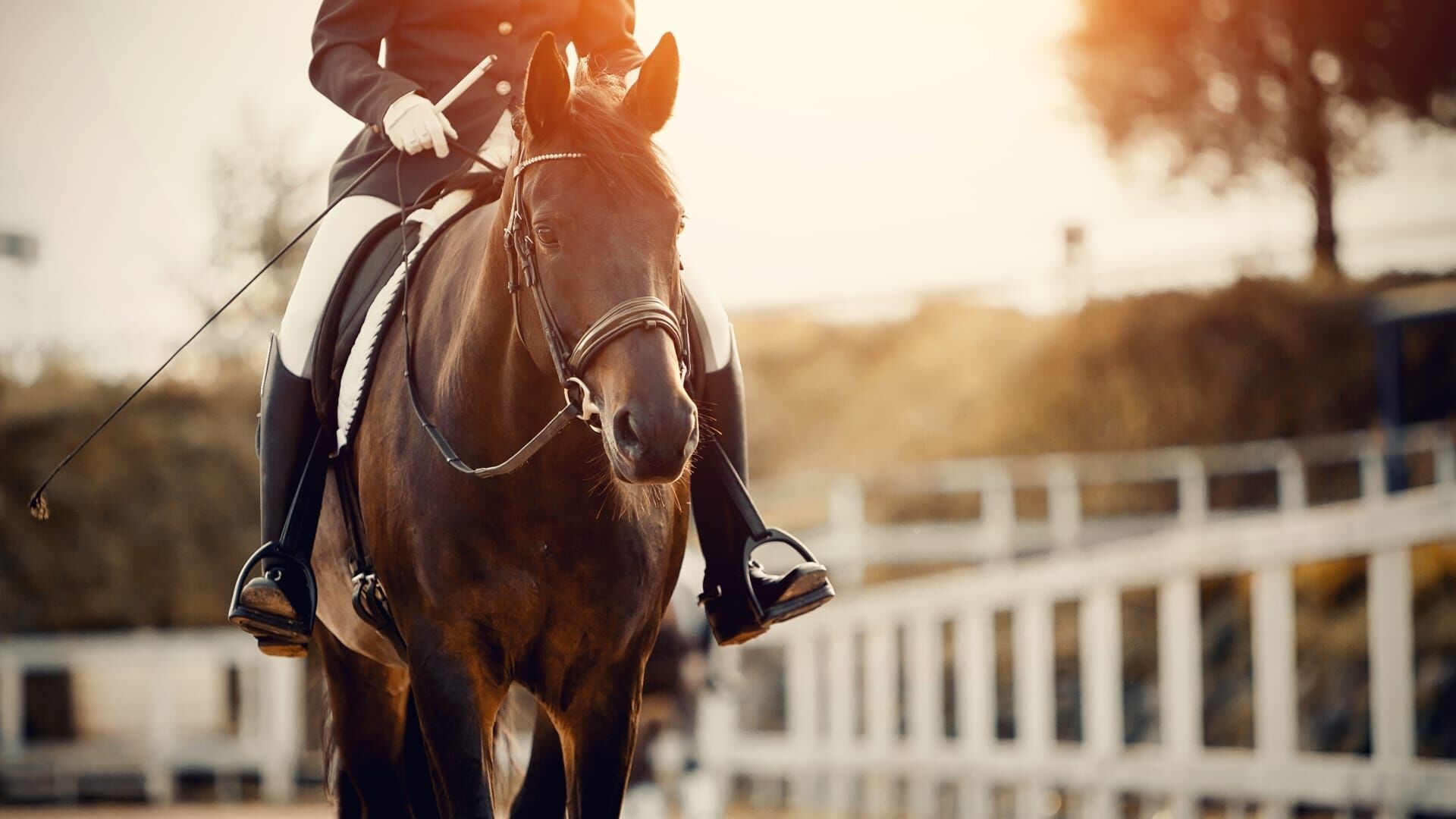 Equitation : Rolex Grand Slam