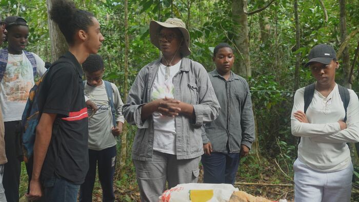Guadeloupe : graines d'avenir