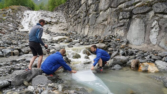 L'or bleu des Alpes, un bien menacé