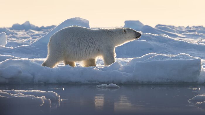 Baffin : Une île au coeur de la banquise