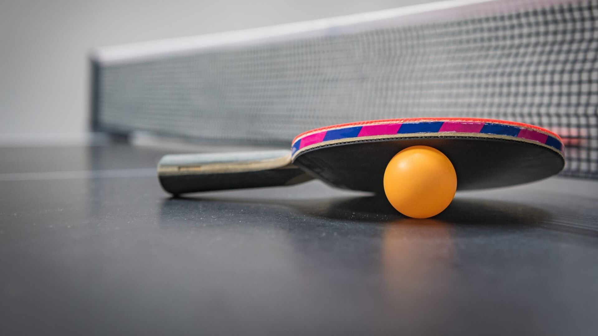 Tennis de table : WTT Star Contender de São José dos Campos