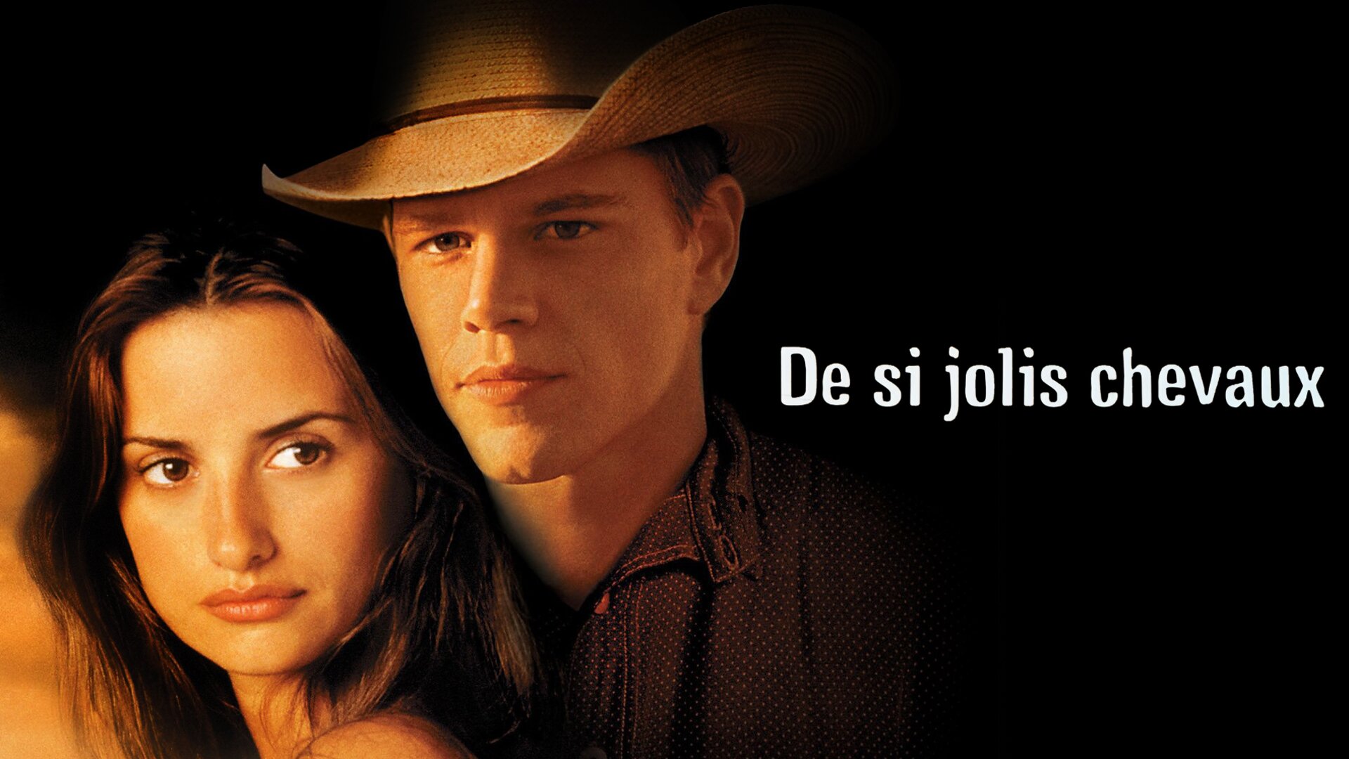 De si jolis chevaux