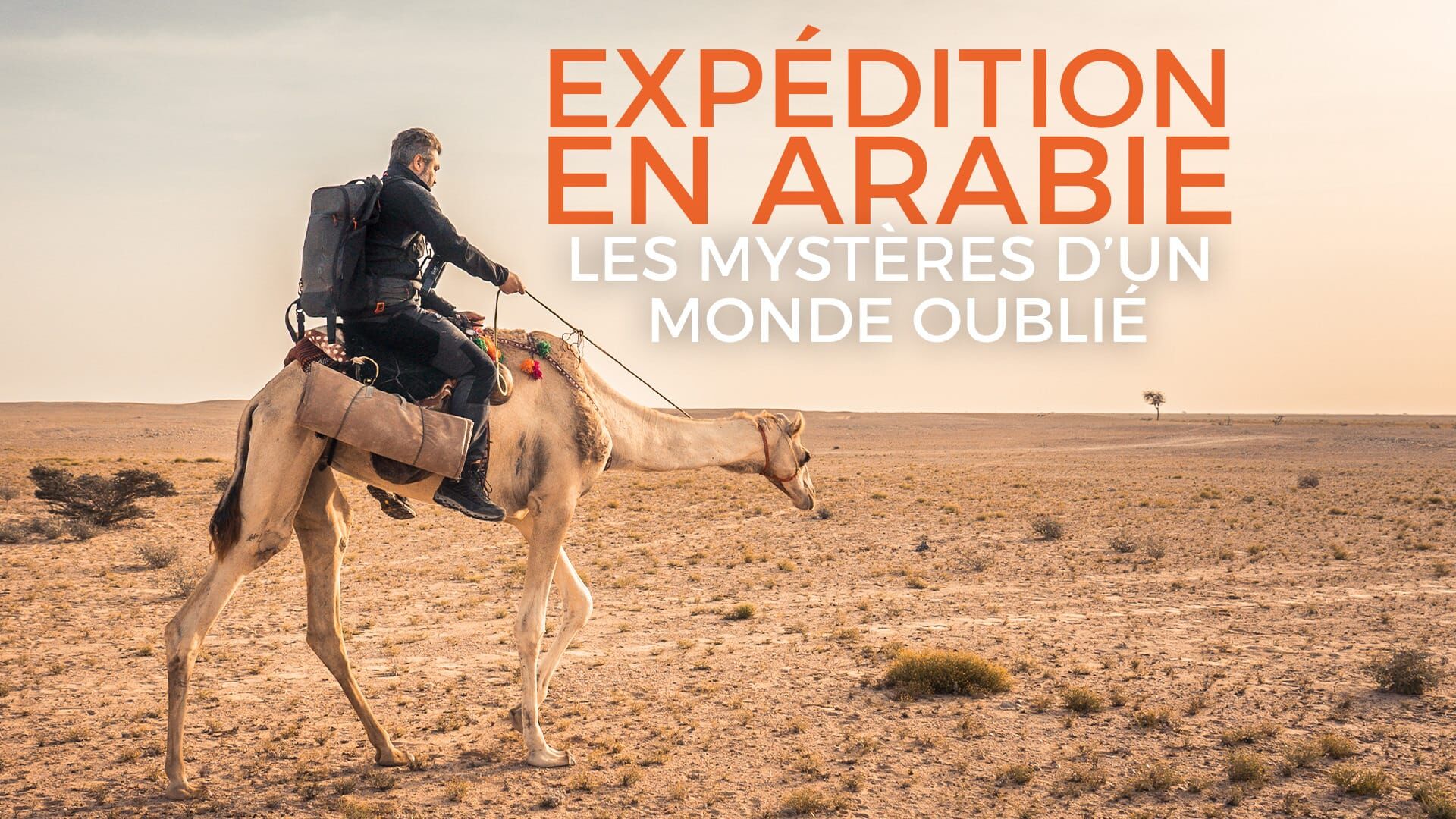 Désert d'Arabie