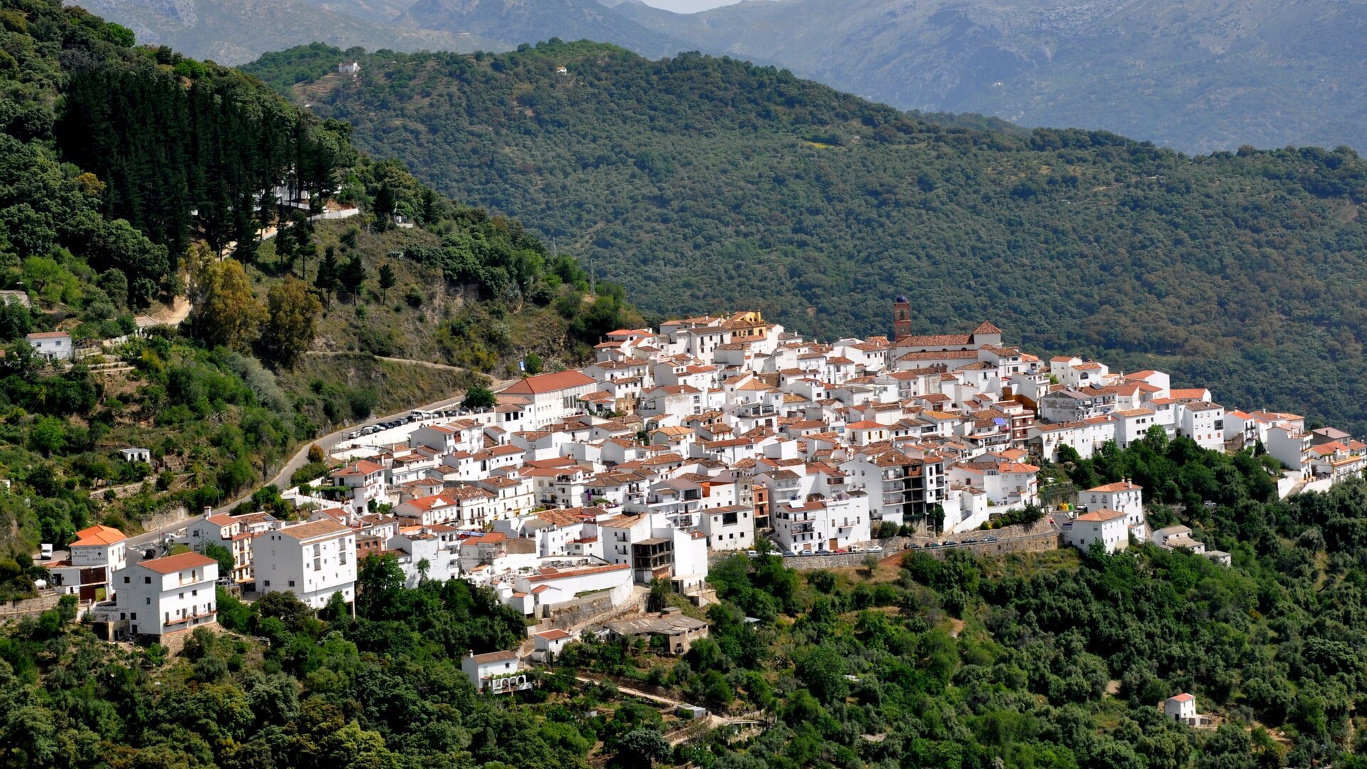 Torralba de los Sisones, Genalguacil, La Pola de Gor