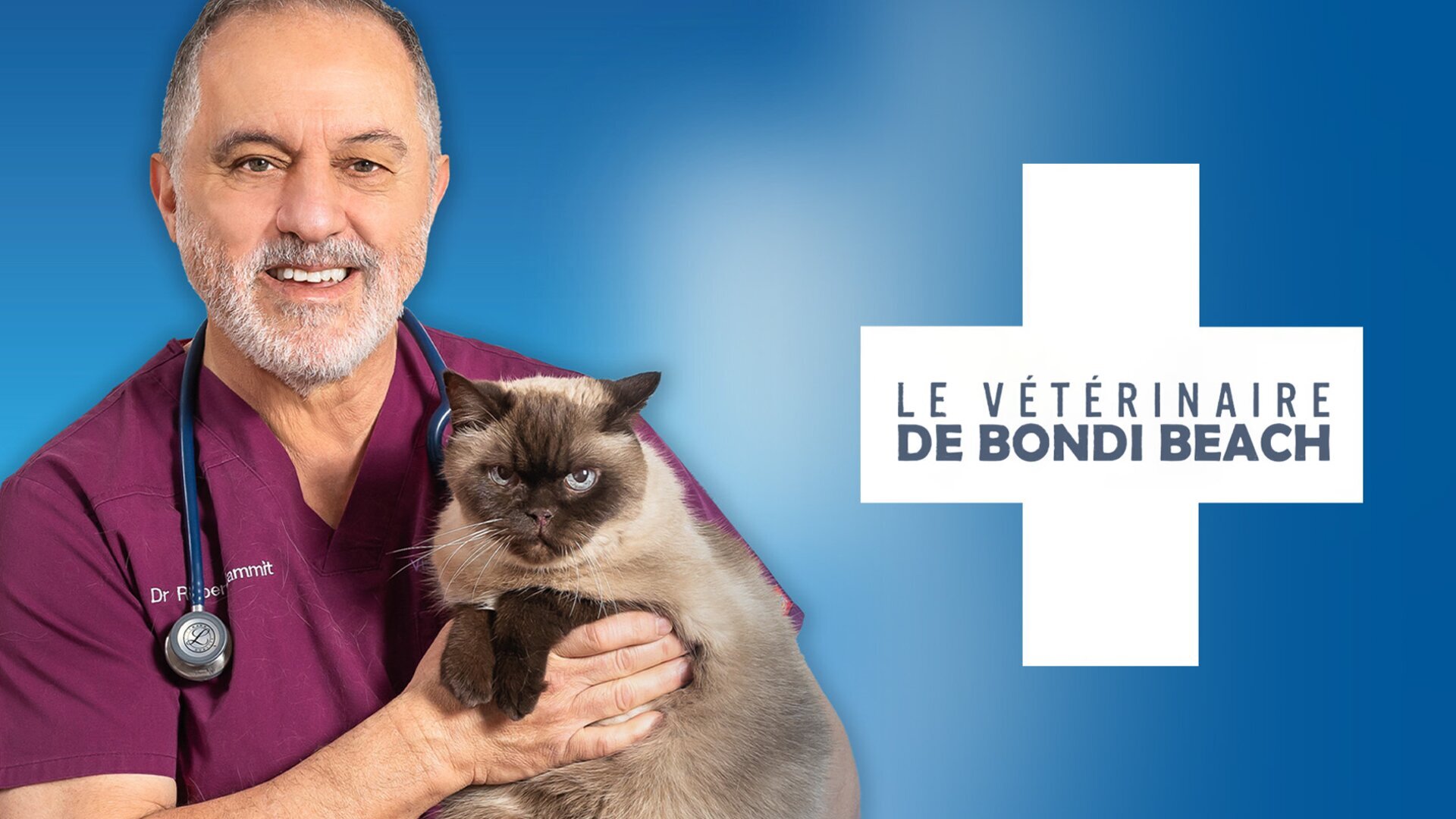 Le vétérinaire de Bondi Beach