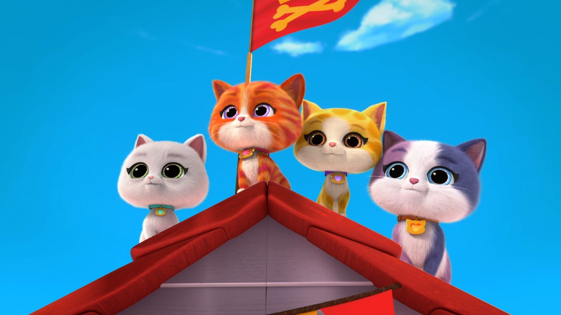 Chat-loupe chat-hutée/ Coup de mer pour le gâteau d'anniversaire