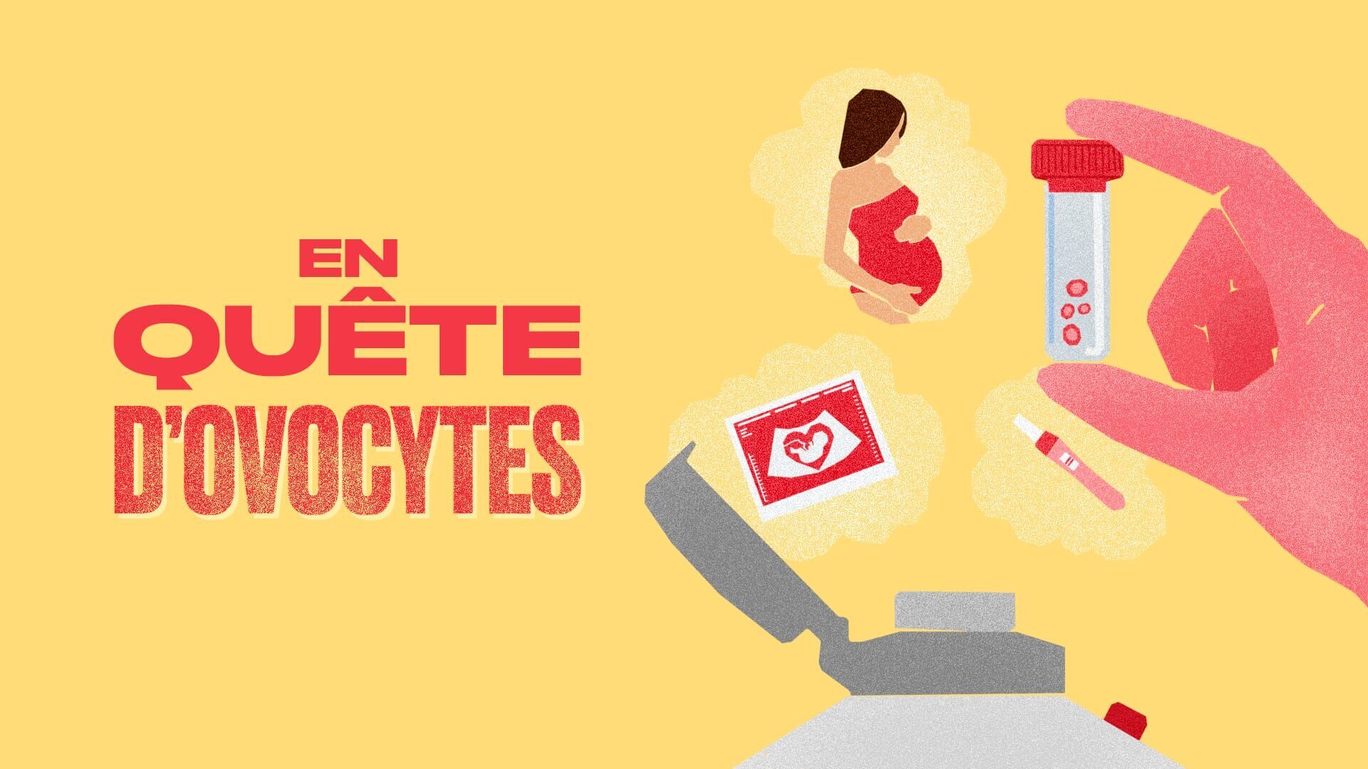 En quête d'ovocytes
