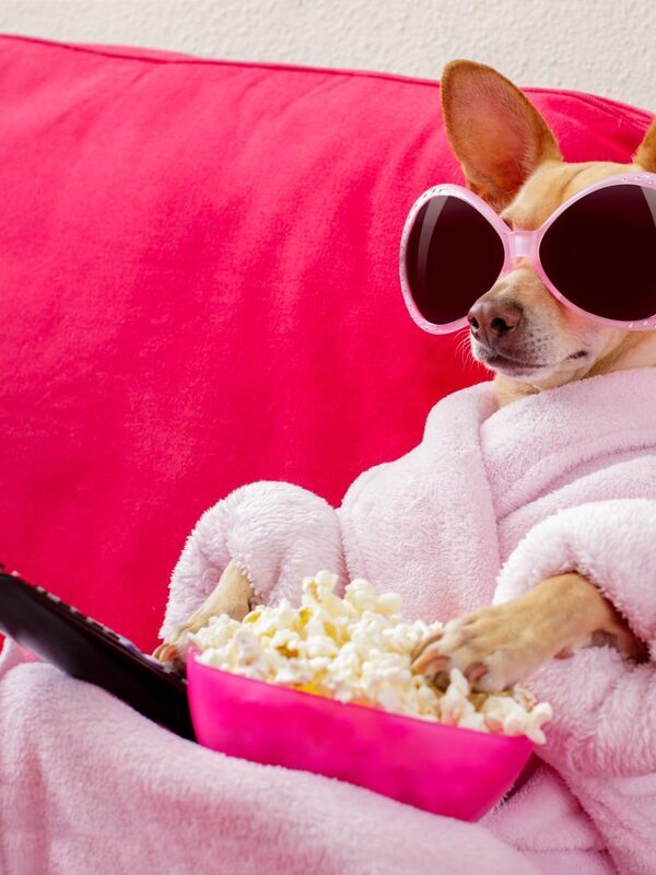 15e Grand Prix De Monaco Historique 2026