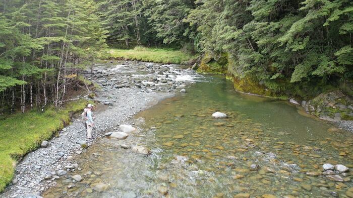 Otago Hill Country Browns
