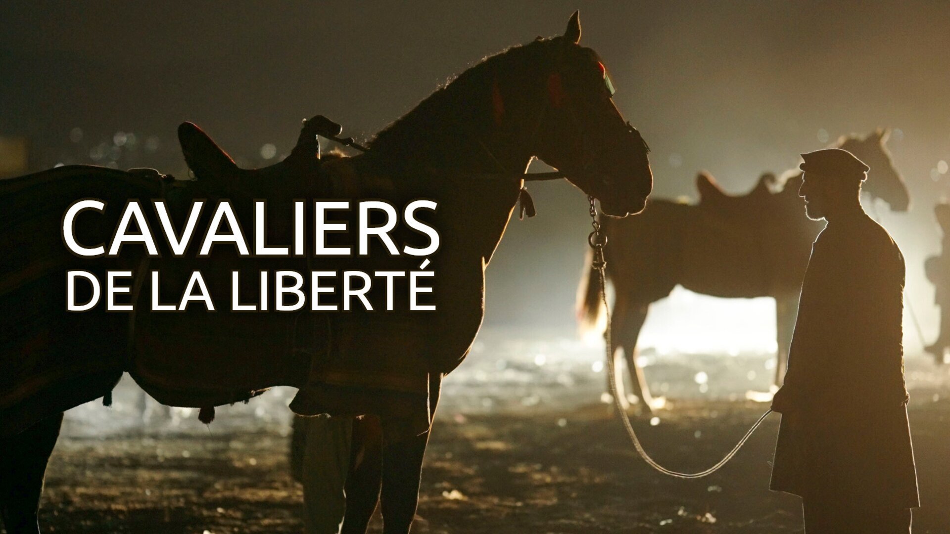 Cavaliers de la liberté
