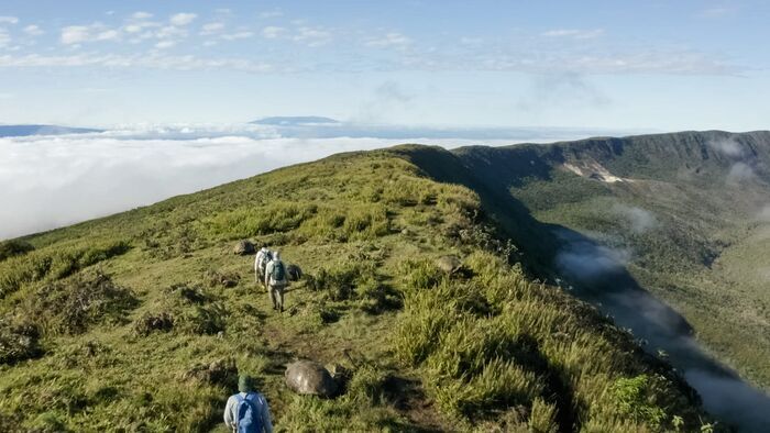 Le monde perdu des Galapagos