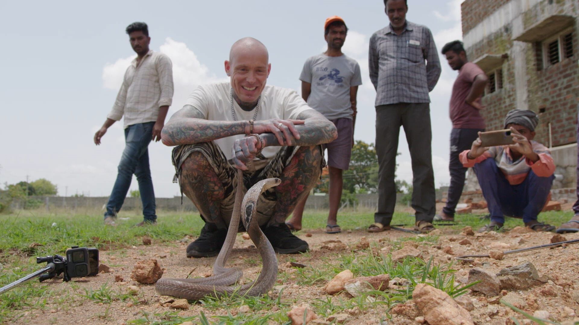 Pythons et compagnie