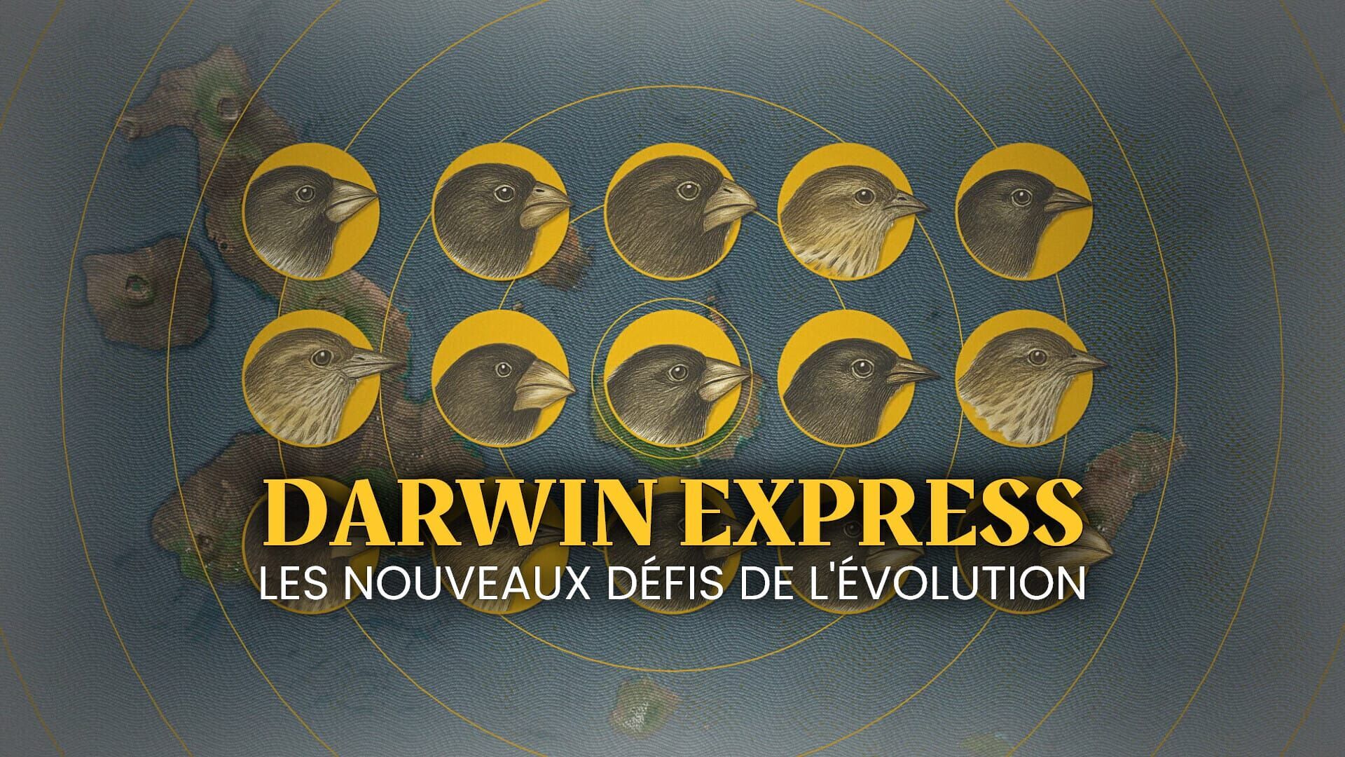 Darwin express : Les nouveaux défis de l'évolution