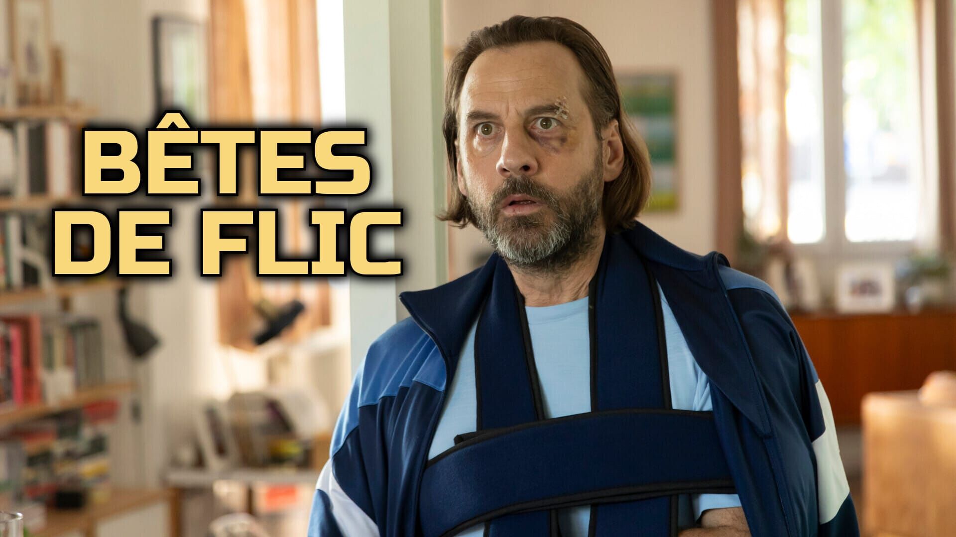 Bêtes de flic
