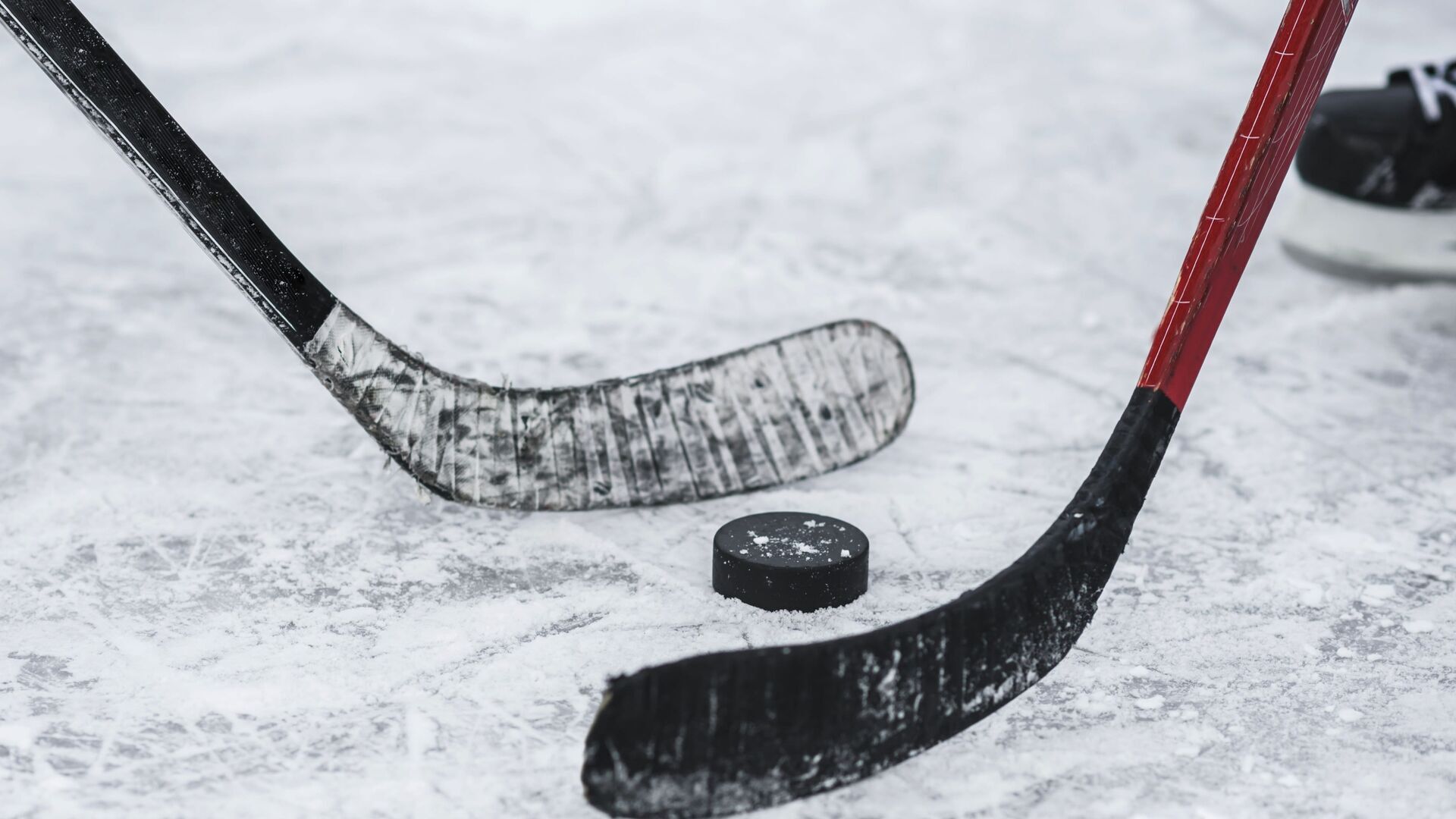 Hockey sur glace : Coupe d'Europe des nations