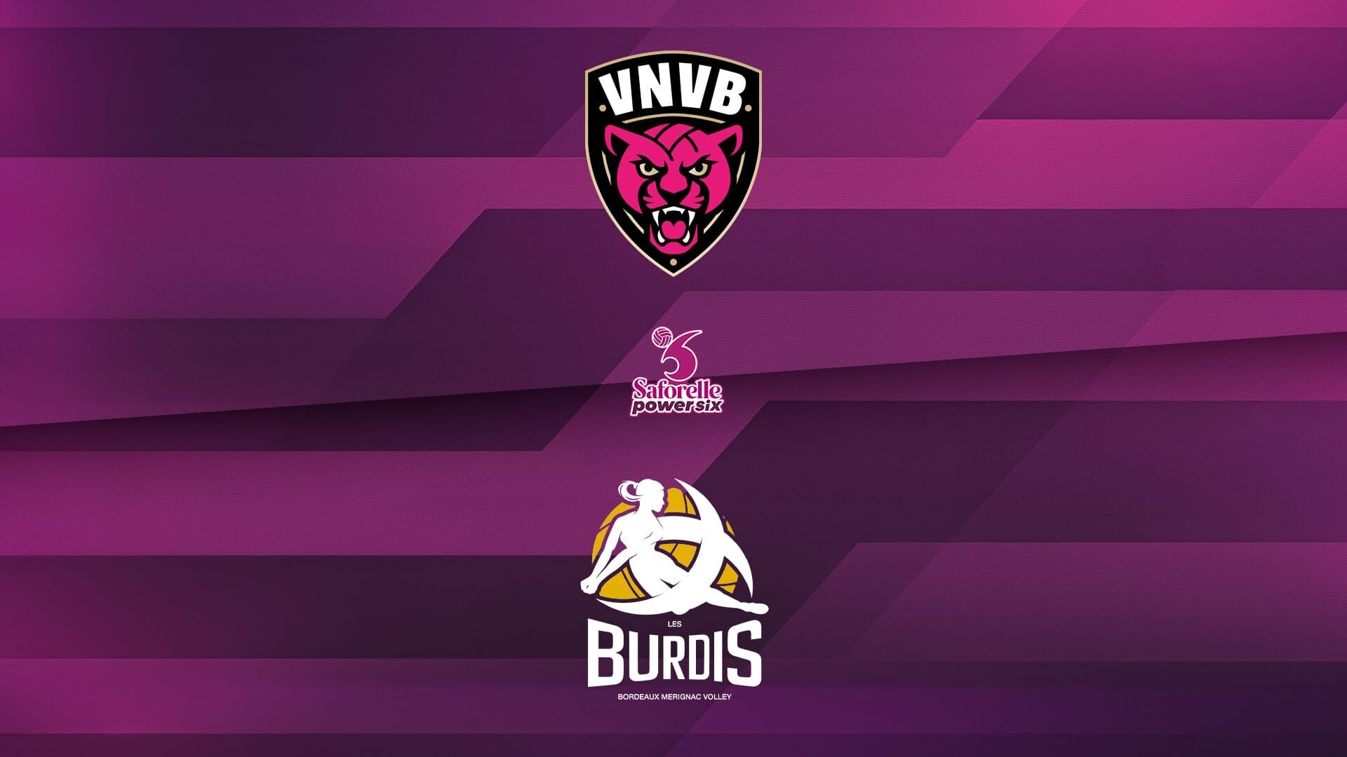 Volley-ball : Ligue A Féminine