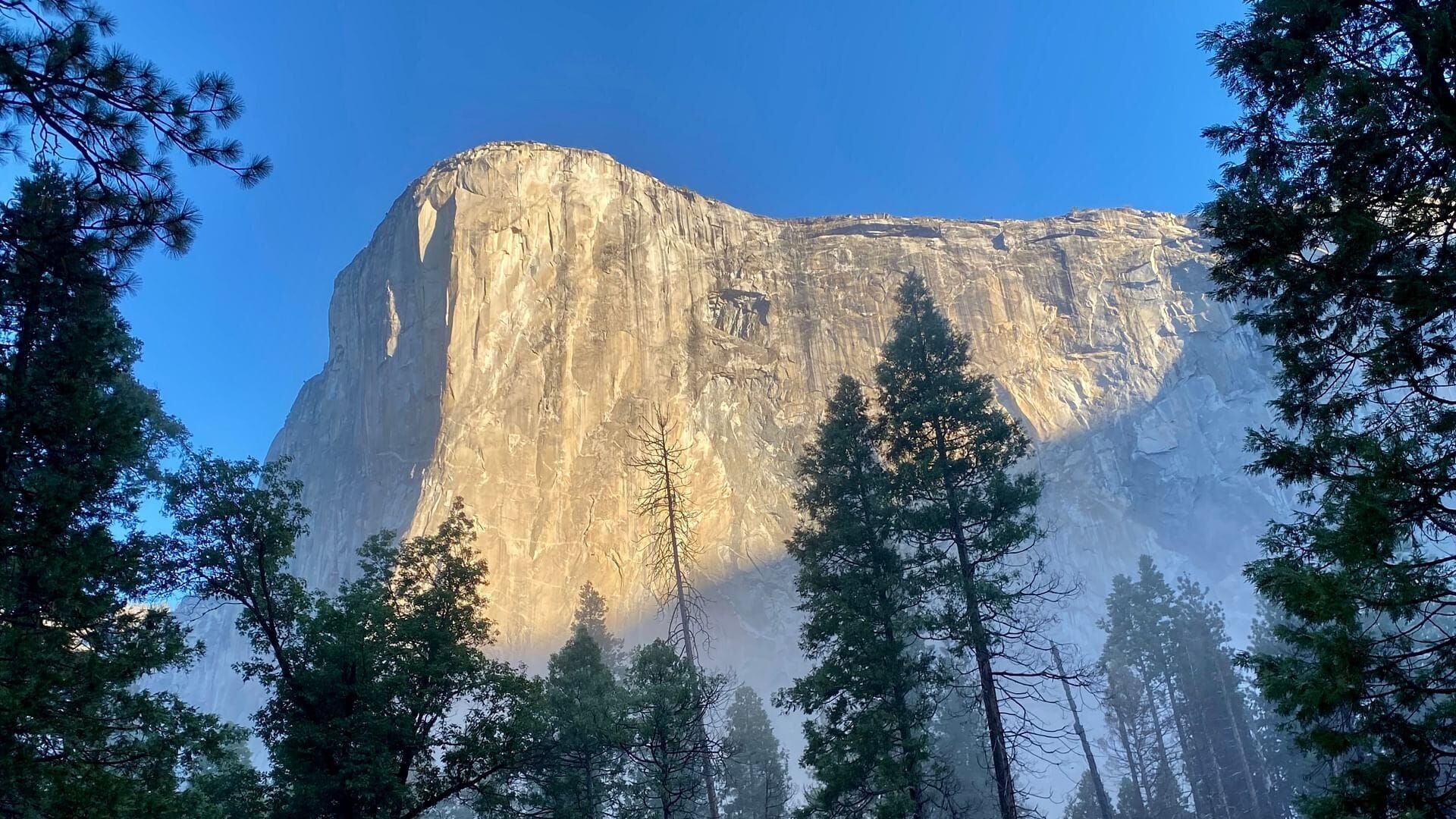 Les parcs de Californie