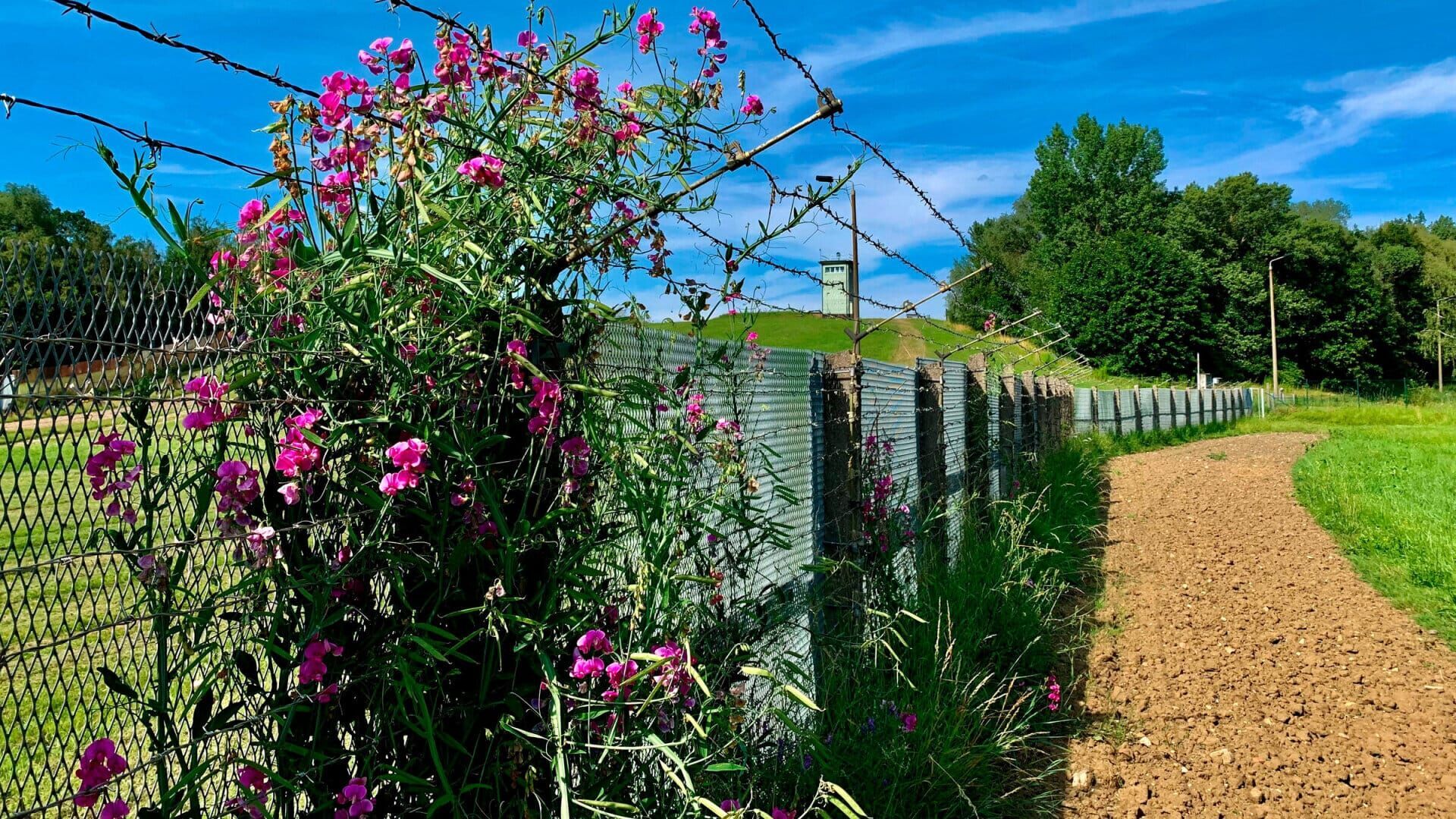 Wall, Bunker, Green Belt - The New Culture of Remembrance