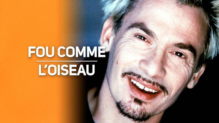 Fou comme l'oiseau