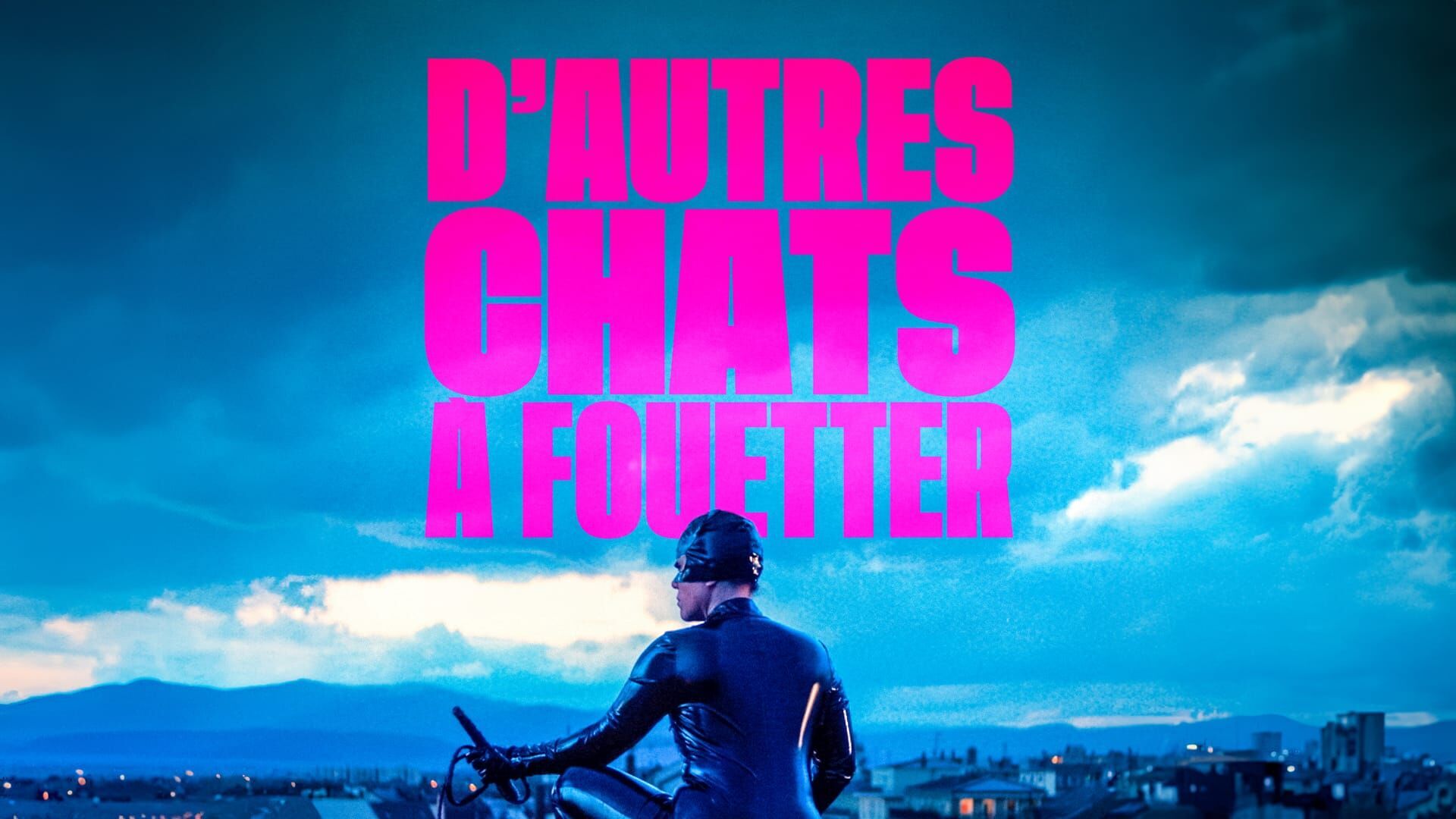 D'autres chats à fouetter
