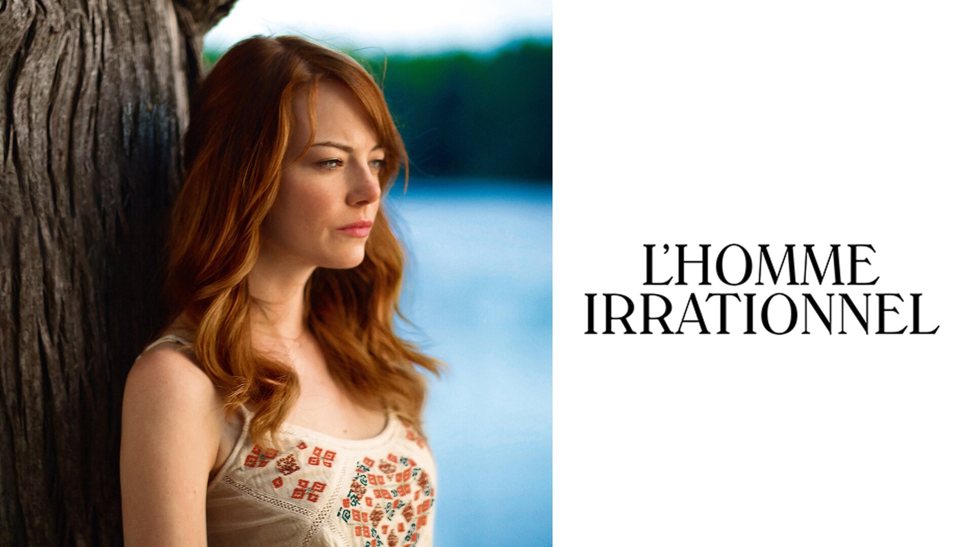 L'homme irrationnel