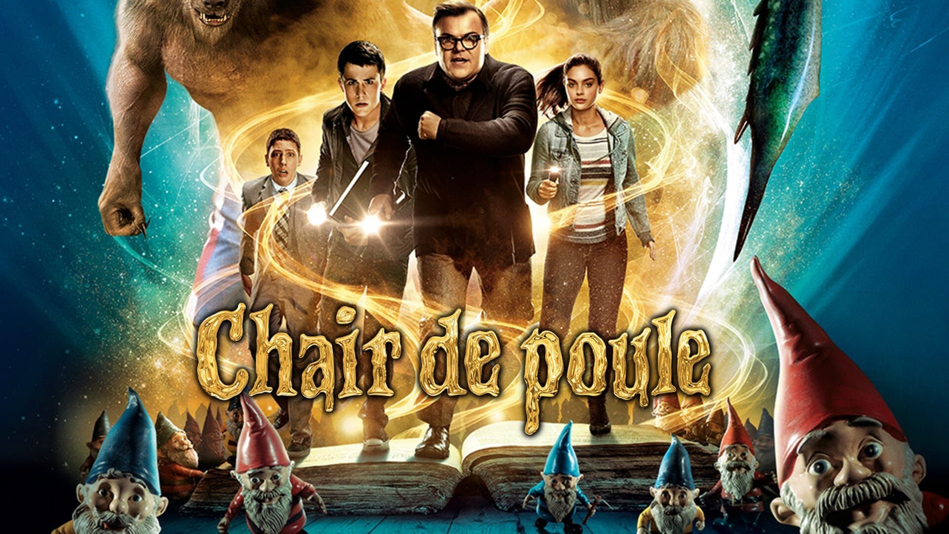 Chair de poule