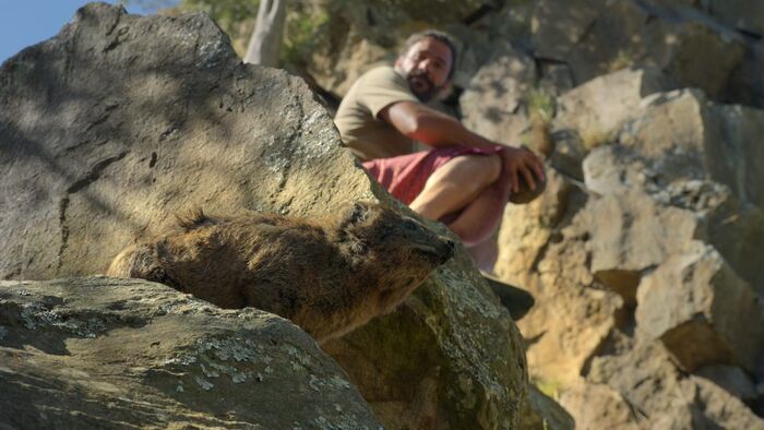 La montagne aux rhinocéros