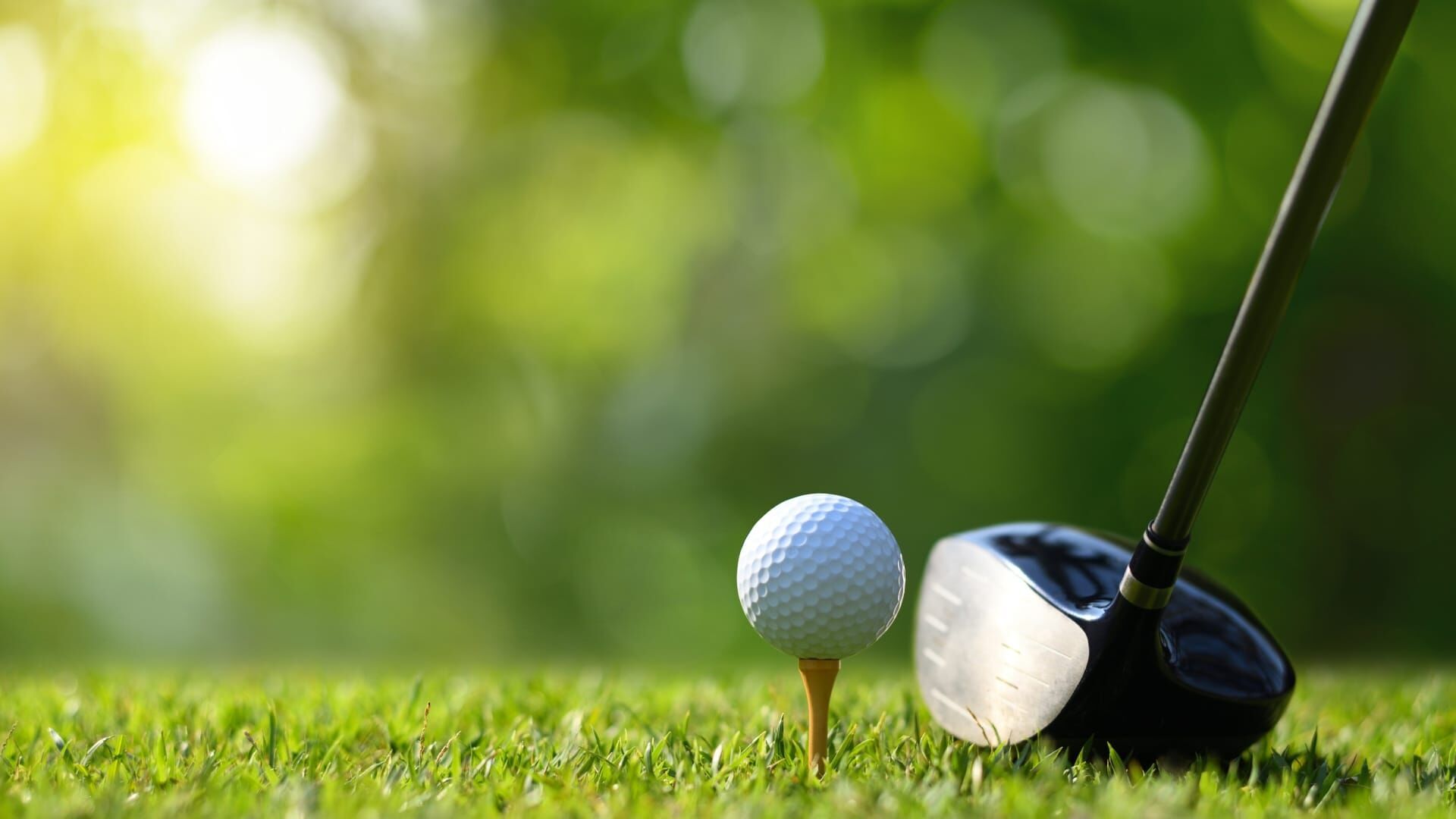 PGA Tour: Black Desert Championship