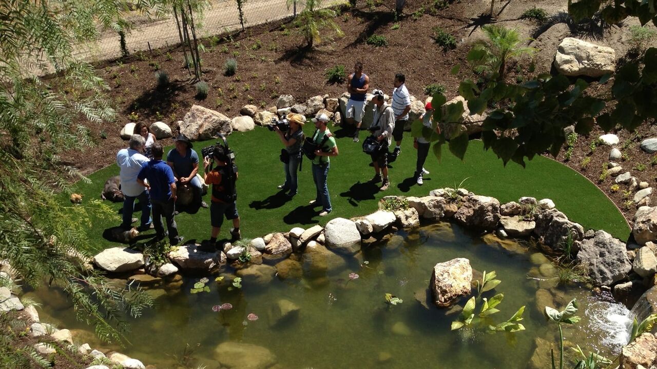 L'étang de Super Cesar