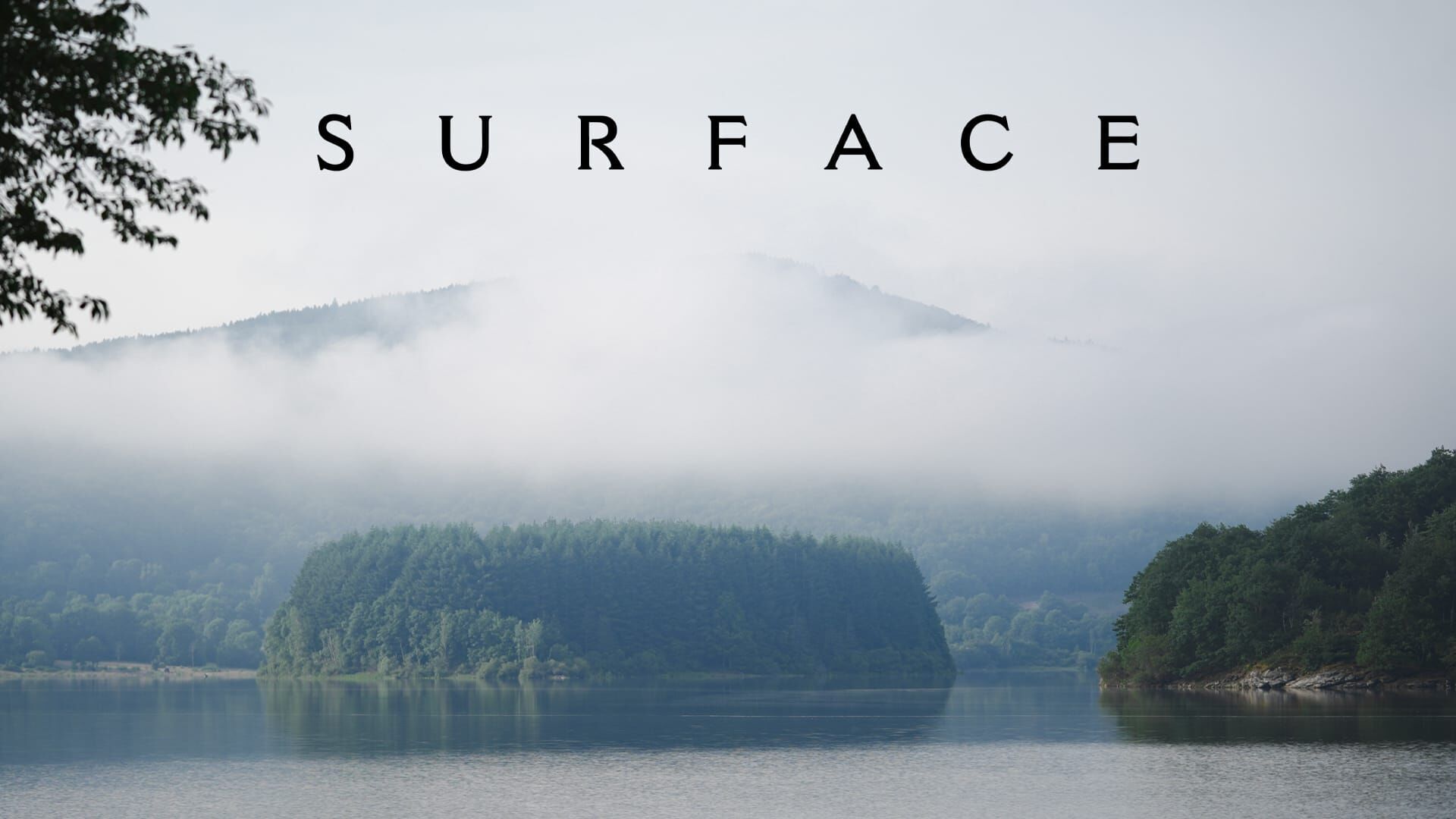 Surface