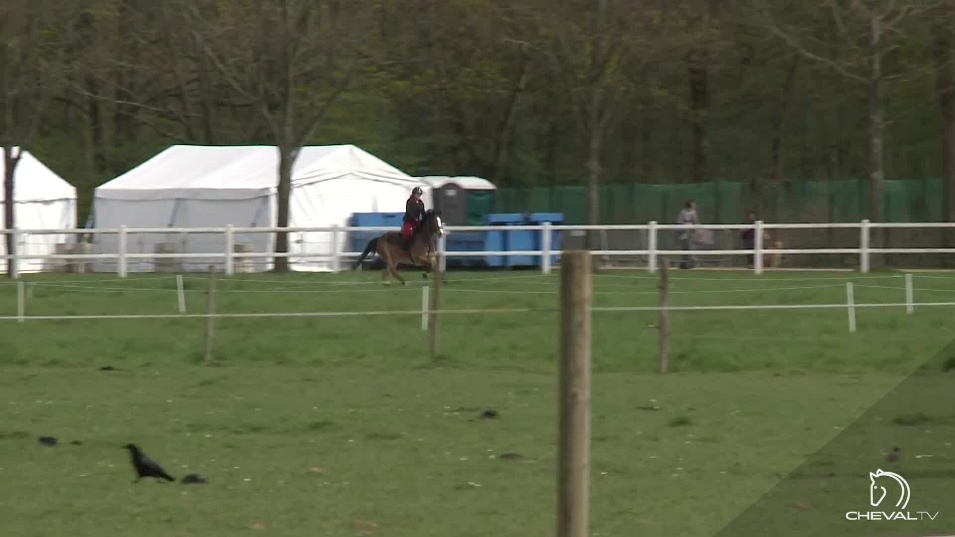 Tutos Poneys du Haras de Jardy (8)