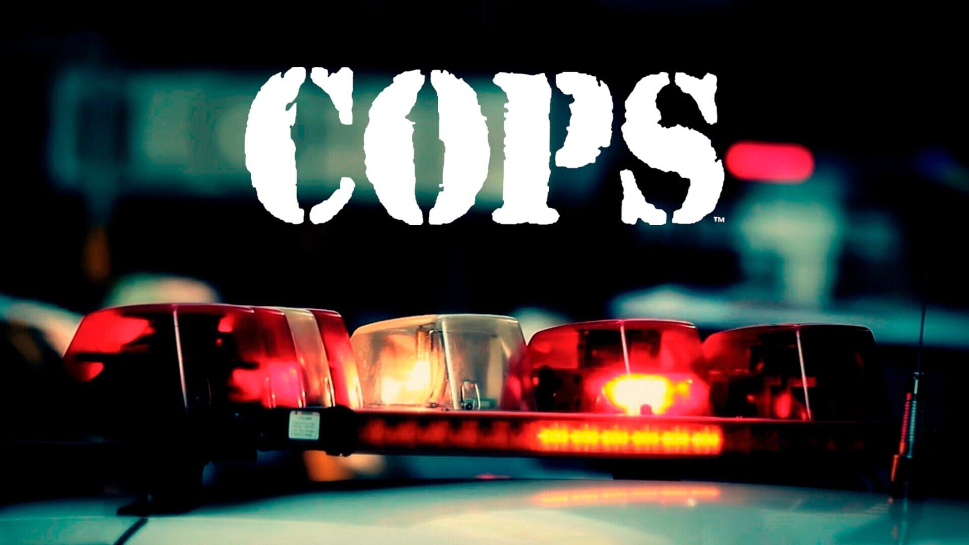 See You Later, Alligator