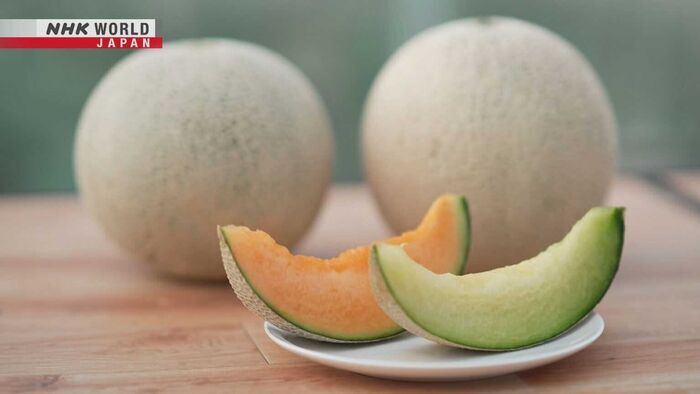 Melon