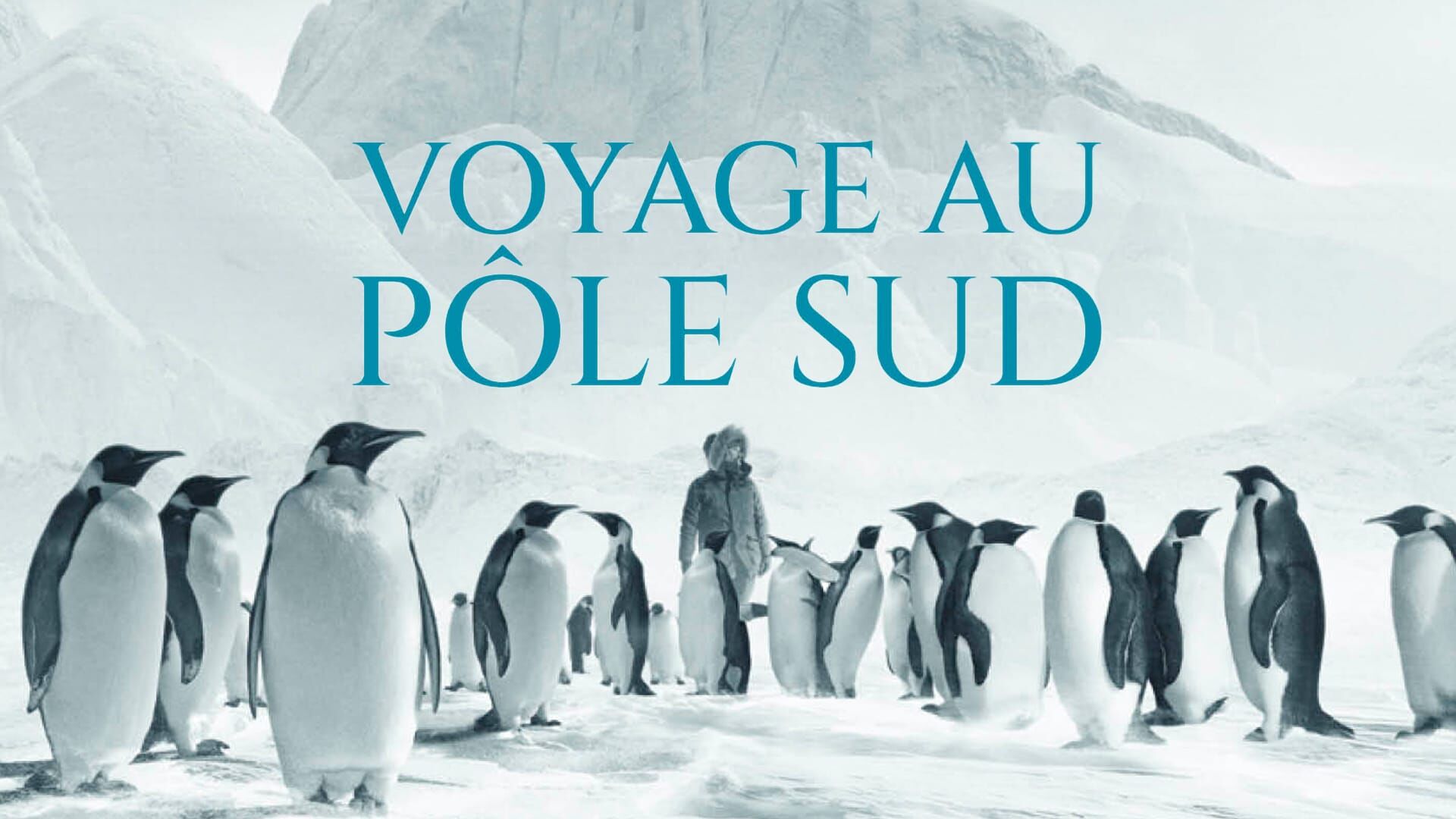 Voyage au pôle Sud