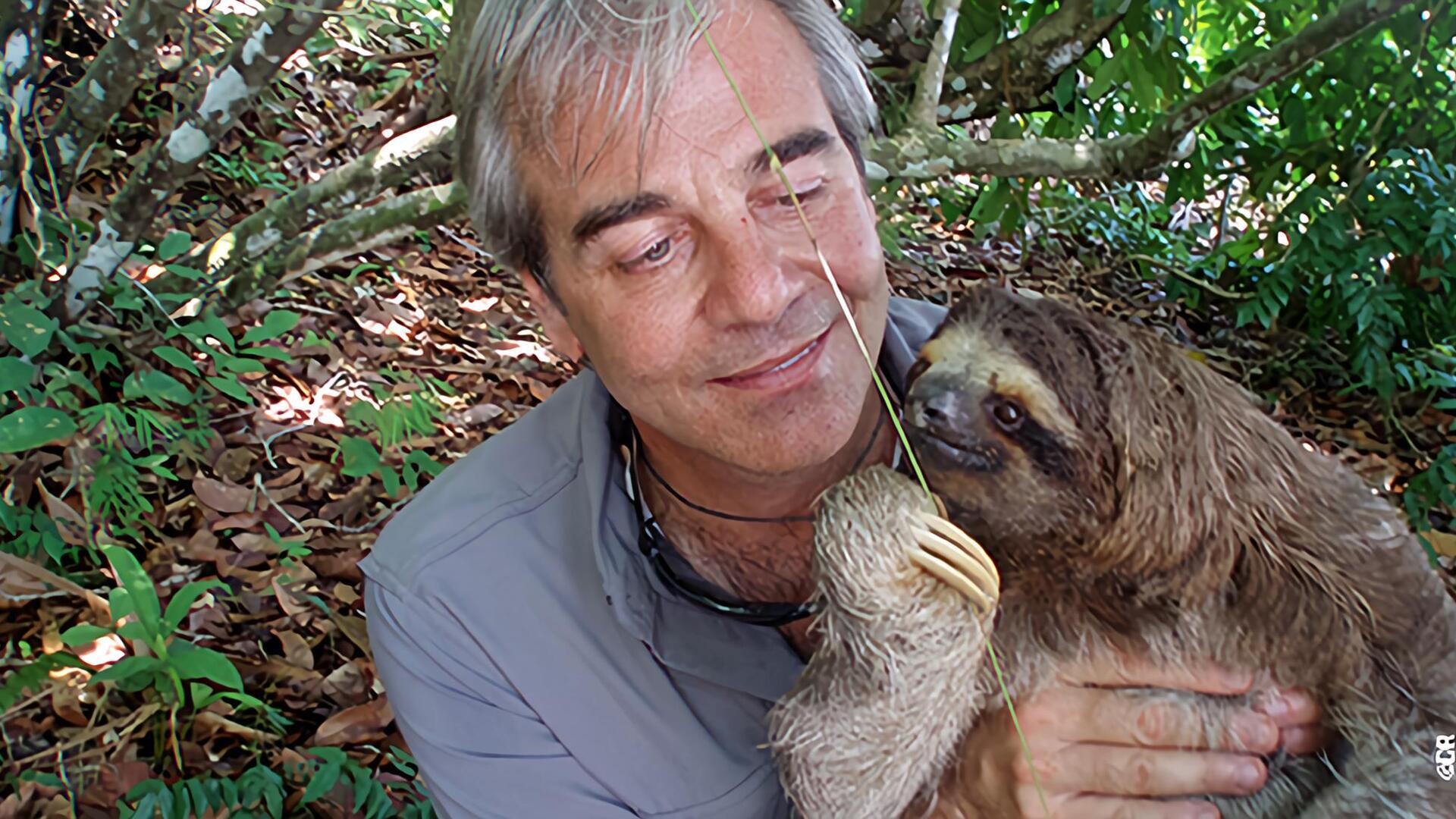 L'aventure humaine : Le chant des rorquals à bosse