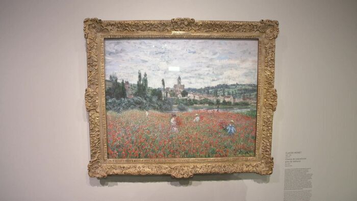 Collection Bührle, Musée Maillol