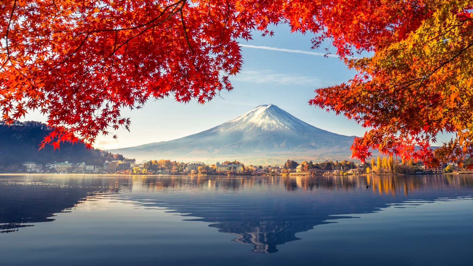 Ultimate Japan