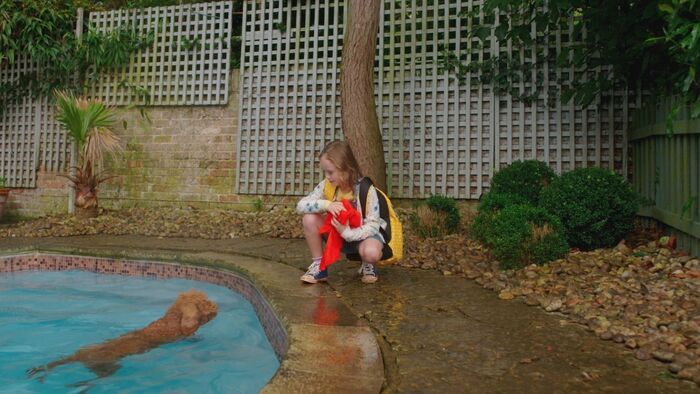 La piscine de monsieur Willow