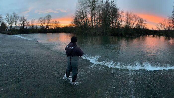 Brochet, sandre, perche, suivez le guide !