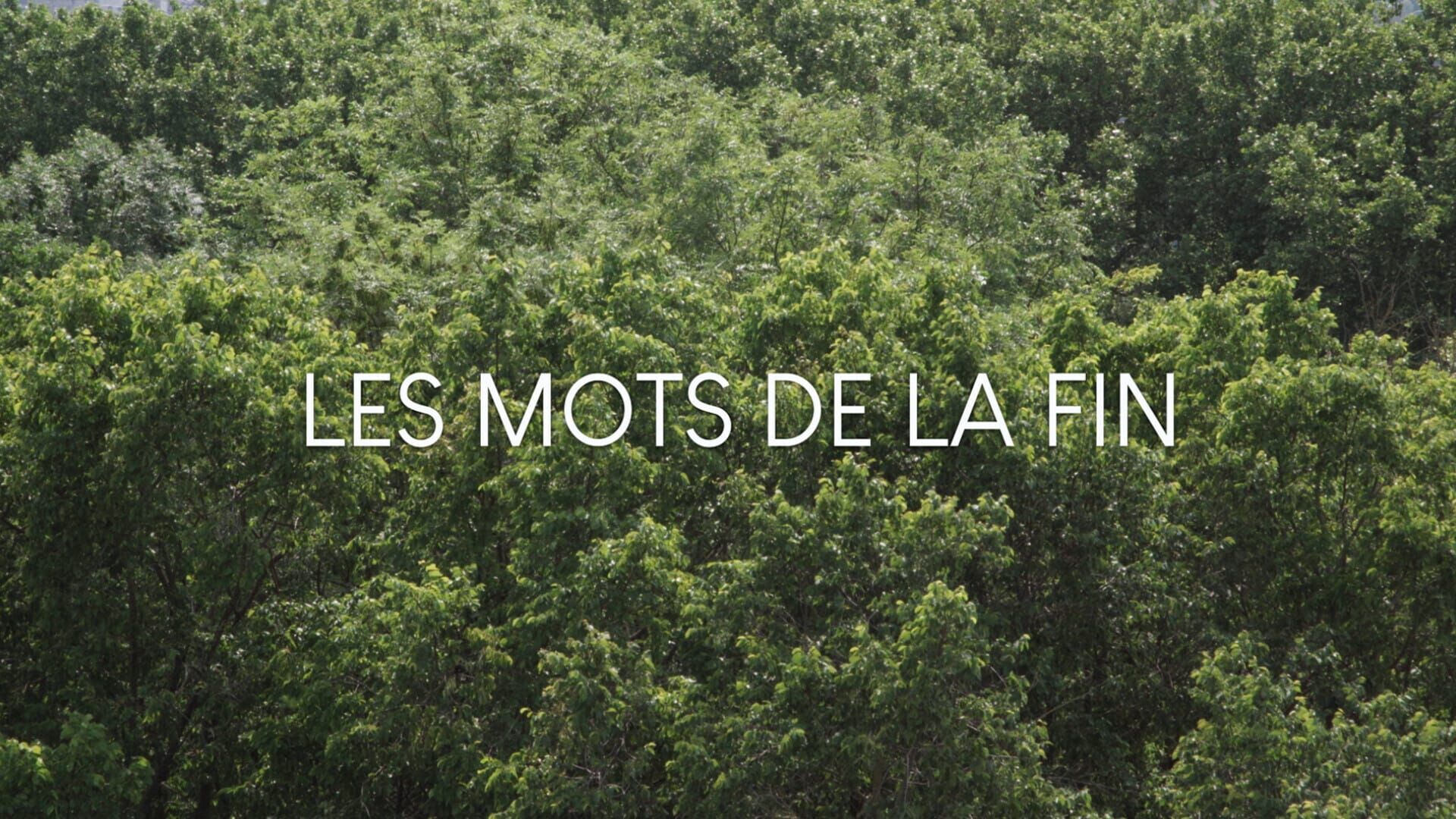 Les mots de la fin