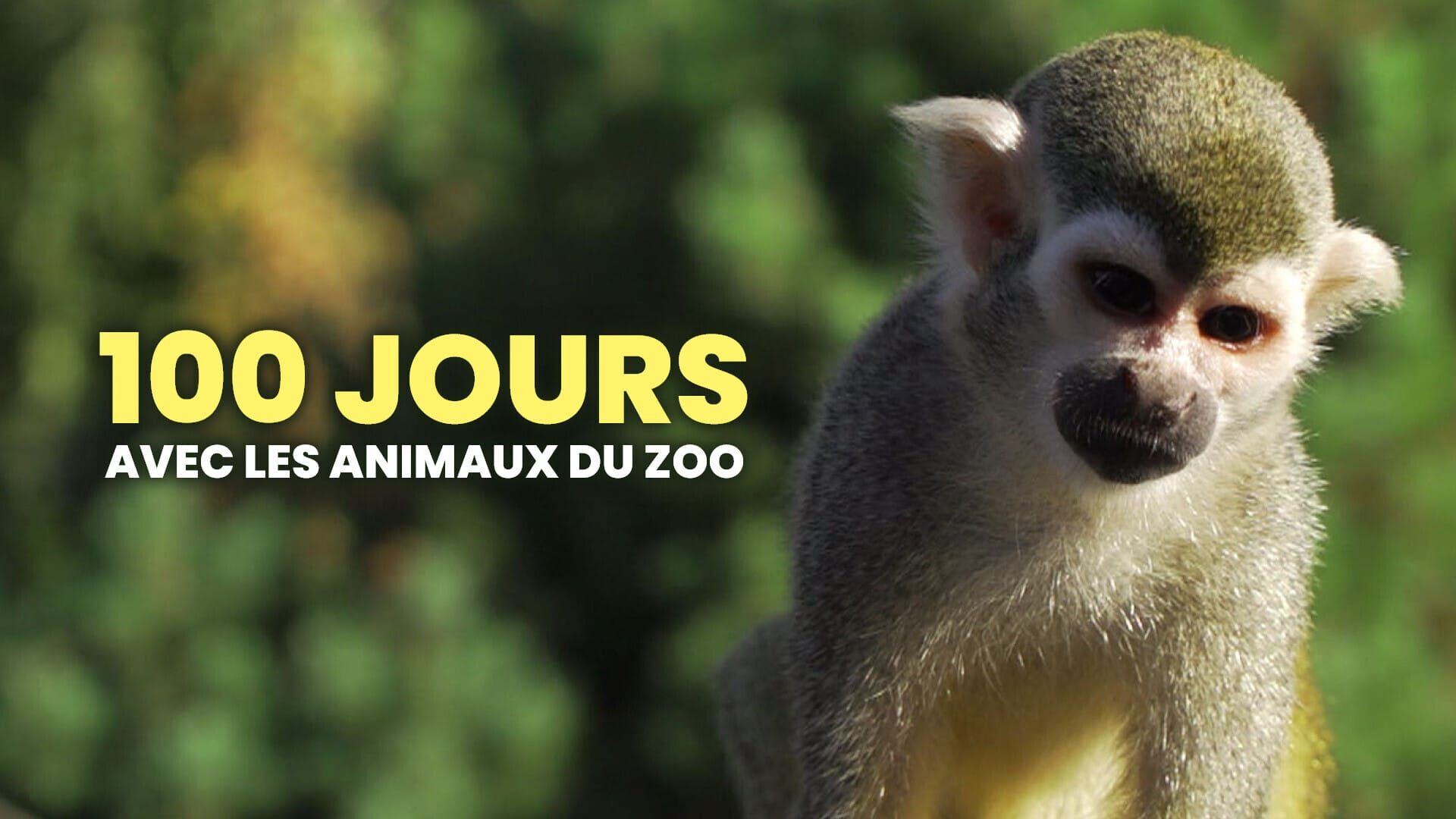 100 jours avec les animaux de Thoiry