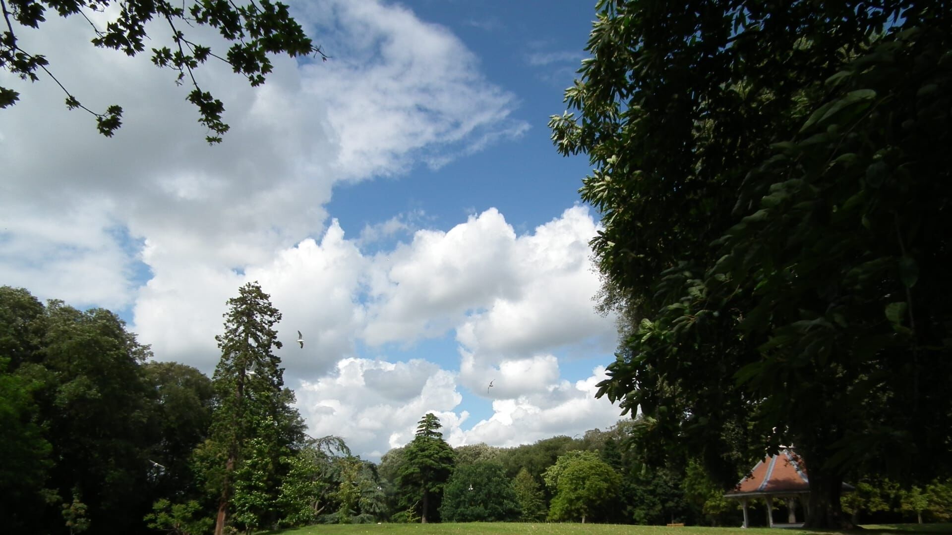 Christchurch Mansion 1